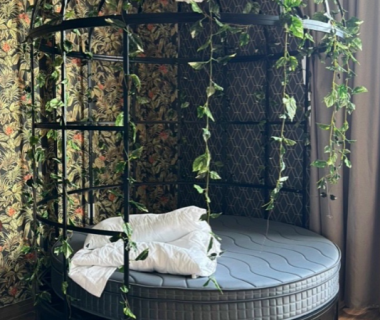 Giường Lồng Chim Giá Tốt 2026: Review & Hướng Dẫn Chọn